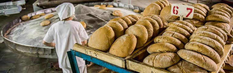 Безопасность труда на хлебобулочном производстве